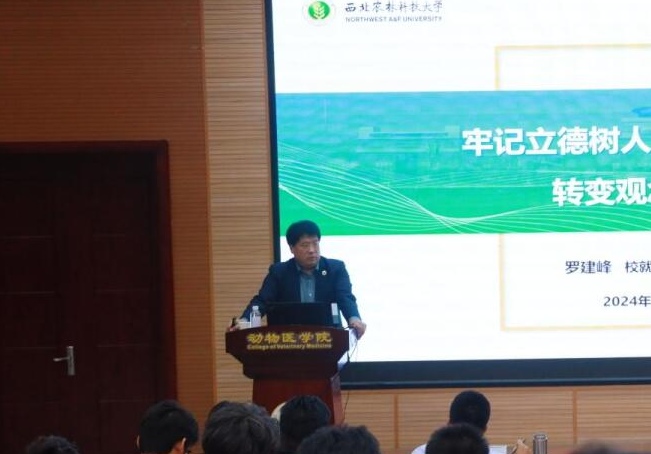 罗主任.jpg